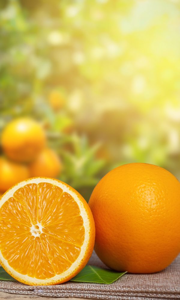 Orange 600x1000