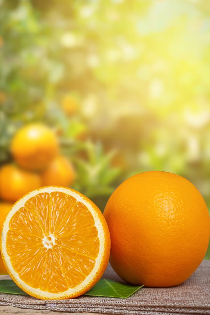 Orange 683x1024