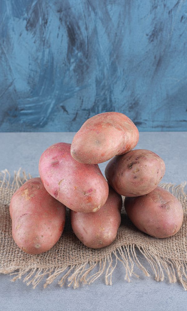 Front view cut grapefruits fresh grapefruit nude baground copy 600x1000
