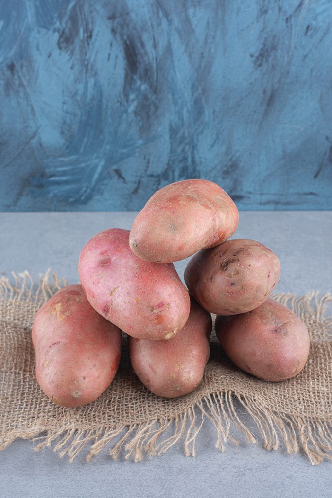 Front view cut grapefruits fresh grapefruit nude baground copy 683x1024